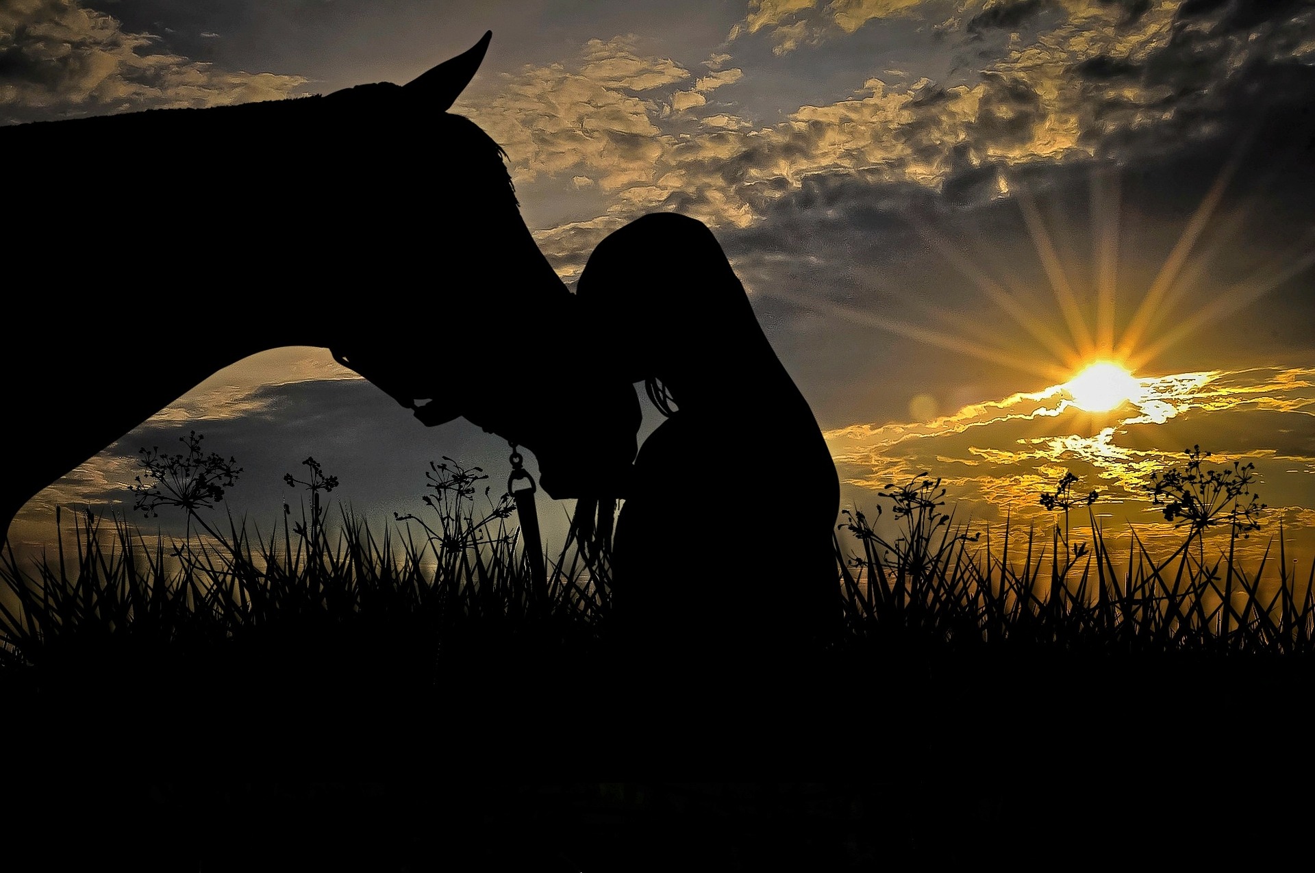 hest.pige.solnedgang